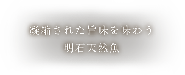 凝縮された旨味を味わう明石天然魚